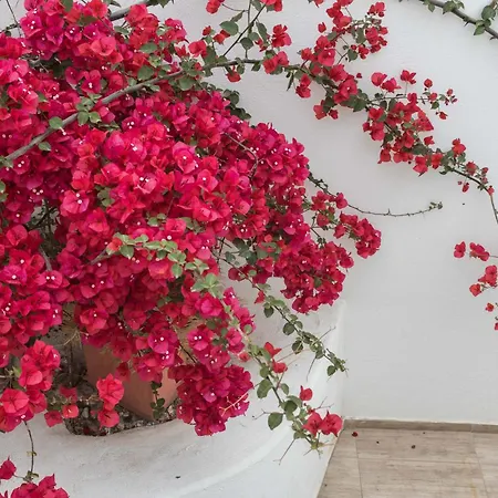 Depis 아파트 Naxos City